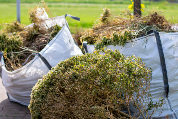 Best Commercial Cleanout Services  in Schleswig, IA