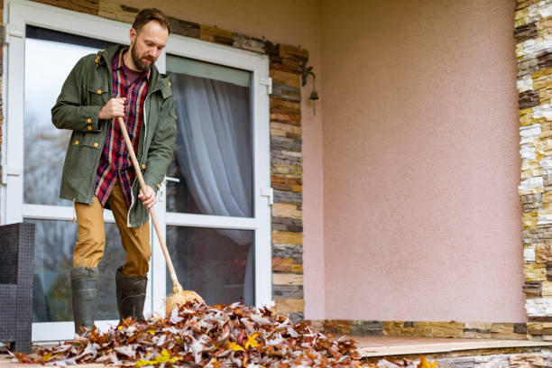 Best Furniture Removal Near Me  in Schleswig, IA